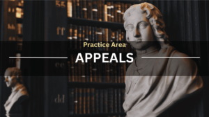Practice Area Appeals
