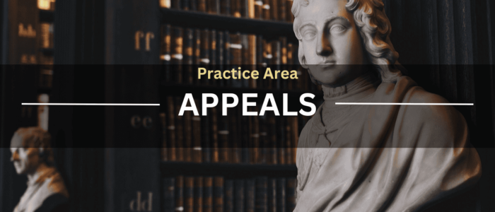 Practice Area Appeals