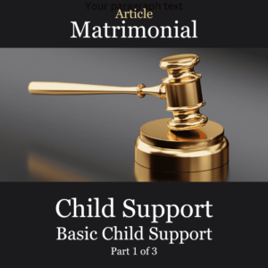 Article Basic Child Support
