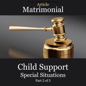 Article Child Support Special Situations
