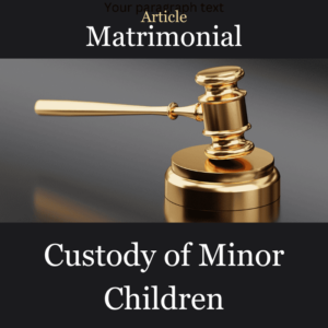 Article Custody in New York