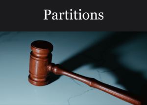 Article Link Partitions