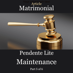 Article Pendente Lite Maintenance
