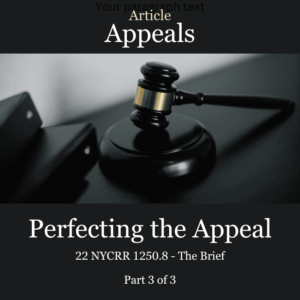 Article Perfecting the Appeal The Brief