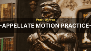 Practice Area Appellate Motion Practice