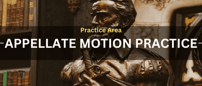 Practice Area Appellate Motion Practice