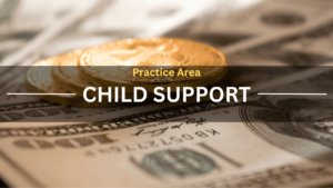 Practice Area Child Support