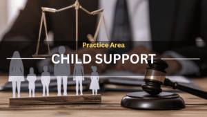 Practice Area Child Support
