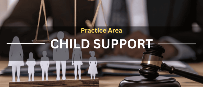 Practice Area Child Support