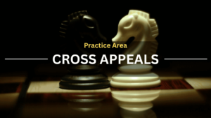 Practice Area Cross Appeals Text