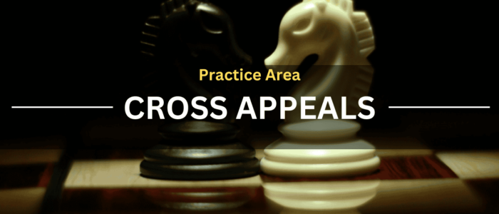 Practice Area Cross Appeals Text