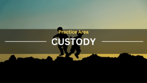 Practice Area Custody