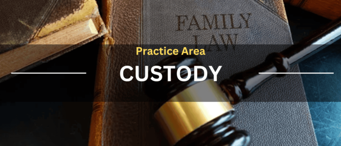Practice Area Custody