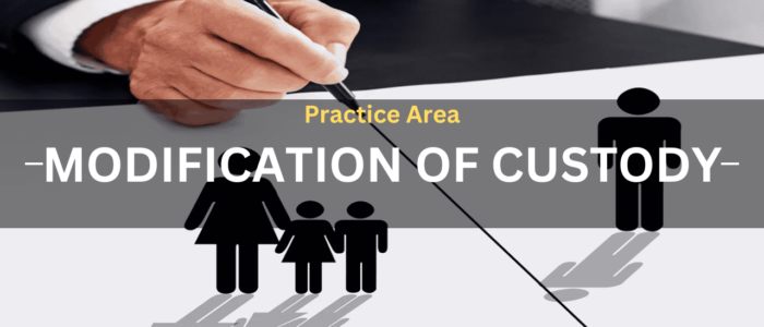 Practice Area Custody Modification