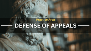 Practice Area Defense of Appeals