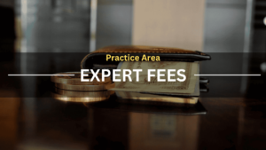 Practice Area Expert Fees