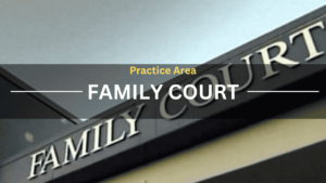 Practice Area Family Court