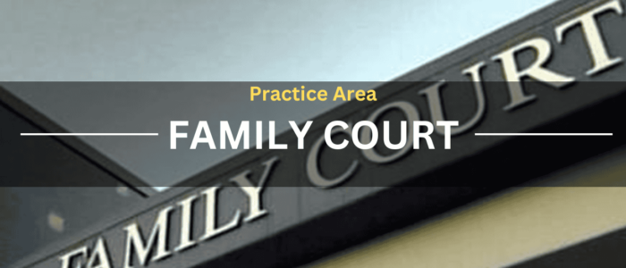Practice Area Family Court