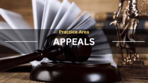 Family Court Appeals
