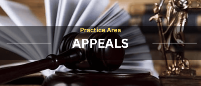 Family Court Appeals