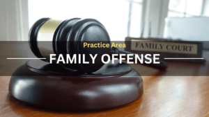 Practice Area Family Offense