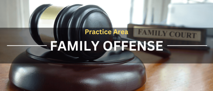 Practice Area Family Offense