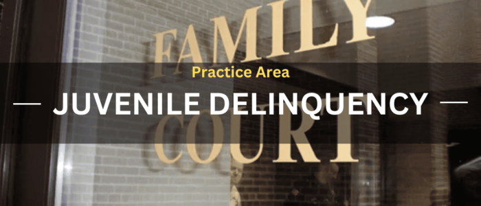 Practice Area Juvenile Delinquency