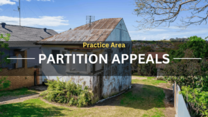 Practice Area Partition Appeals