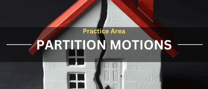 Practice Area Partition Motions