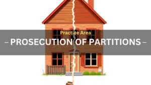 Practice Area Prosecution of Partitions Text