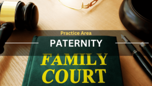 Practice Area Paternity