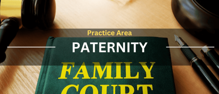 Practice Area Paternity