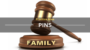 Practice Area PINS