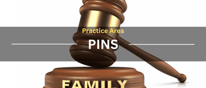 Practice Area PINS