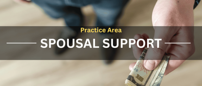 Practice Area Spousal Support