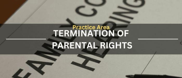 Practice Area Termination of Parental Rights