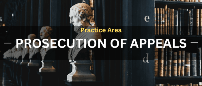 Practice Area Prosecution of Appeals Text